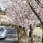 Járműkövetés tavasszal extra kedvezményekkel